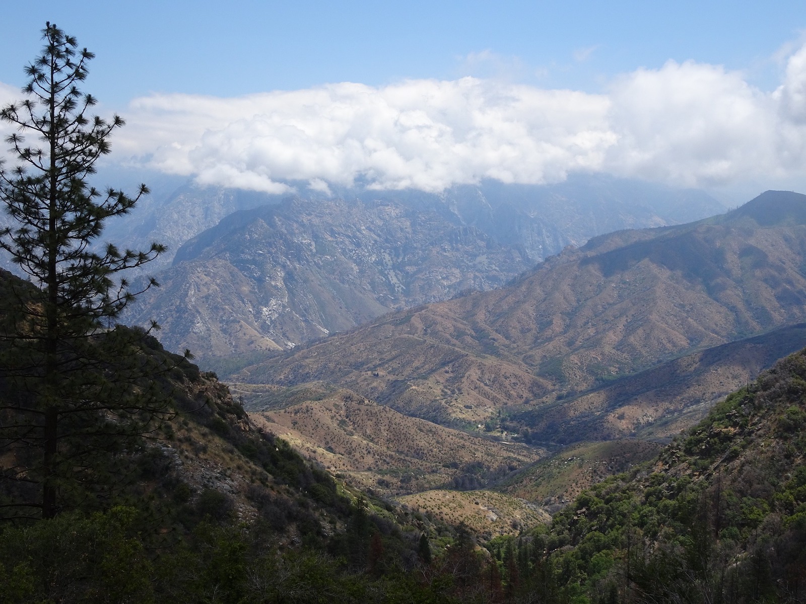 Kings Canyon National Park